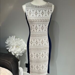Anne Klein Dress Bodycon Crochet Panel Size 4